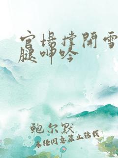 官场撑开雪白双腿呻吟