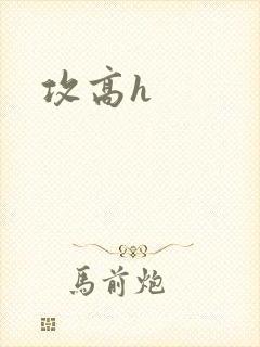 攻高h 攻高h