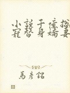 小说千亿总裁独宠替身娇妻 小说千亿总裁独宠替身娇妻