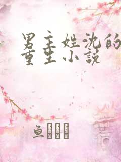 男主姓沈的所有重生小说