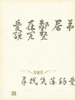 爱在邻居弟弟小说完整