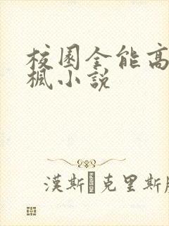 校园全能高手季枫小说