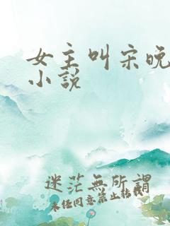 女主叫宋晚柠的小说