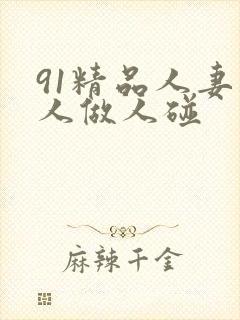 91精品人妻人人做人碰