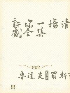 许你一场清欢短剧全集
