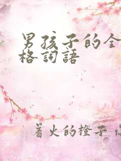 男孩子的全部性格词语