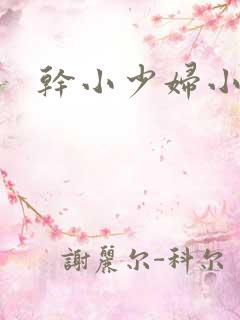 干小少妇小说