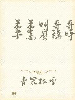 弟弟叫哥哥的孩子怎么称呼
