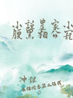 小说农家小甜妻腹黑相公宠不停