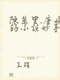 陈万里,唐嫣然的小说妙手大仙医