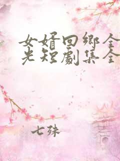 女婿回乡全村风光短剧集全