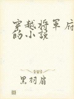 穿越将军府嫡女的小说