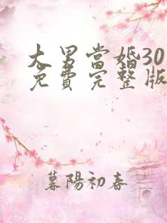 大男当婚30集免费完整版
