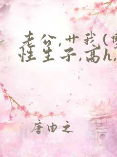 老公,艹我(双性生子,高h,1v1