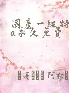 国产一级特黄aa永久免费