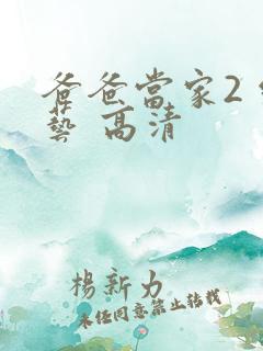 爸爸当家2 综艺 高清
