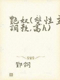 艳奴(双性主奴调教,高h)