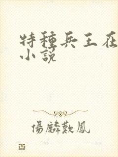 特种兵王在山村小说