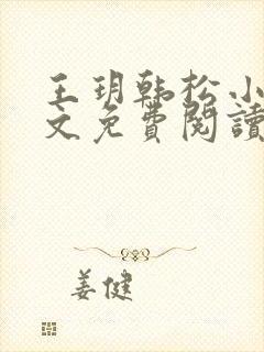 王玥韩松小说全文免费阅读