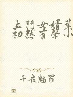上门女婿叶辰萧初然有声小说