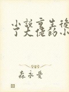 小说重生后我成了大佬的小心肝阅读