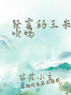 发霉的玉米糁能吃吗