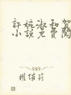 许婉淑和贺承安小说免费阅读