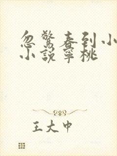 忽惊春到小桃枝小说宁桃