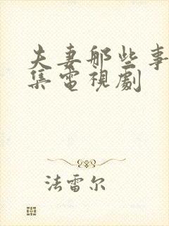 夫妻那些事共几集电视剧