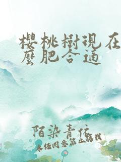 樱桃树现在施什么肥合适