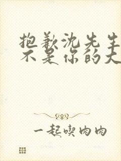 抱歉沈先生孩子不是你的大结局