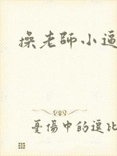 操老师小逼小说