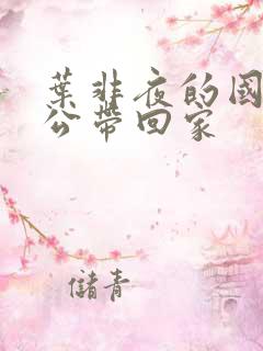 叶非夜的国民老公带回家