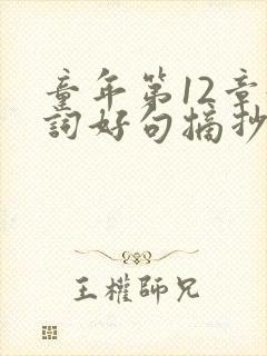 童年第12章好词好句摘抄