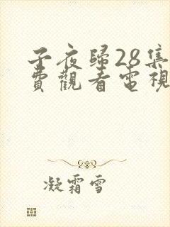 子夜归28集免费观看电视剧