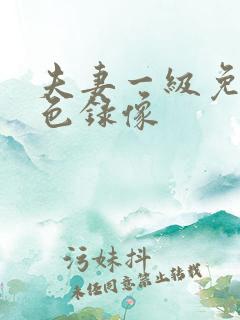 夫妻一级免费黄色录像