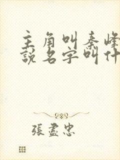主角叫秦峰的小说名字叫什么