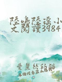 陆鸣陆瑶小说全文阅读3984章