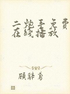 二炮手免费高清在线播放