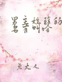 男主姓薛的小说名有叫啥
