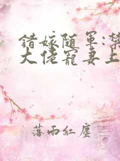 错嫁随军:禁欲大佬宠妻上瘾小说