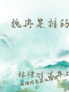 魏冉是谁的儿子