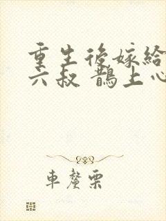 重生后嫁给前夫六叔 鹊上心头