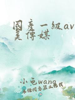 国产一级av天美传媒