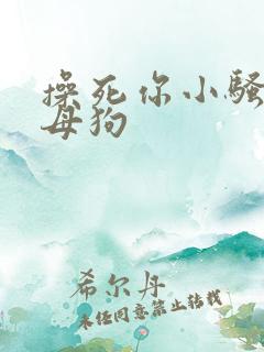 操死你小骚货小母狗