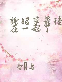 谢昭宁最后和谁在一起了