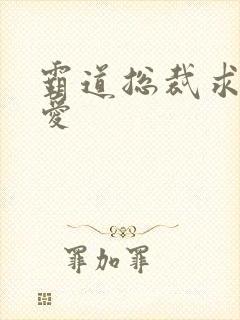 霸道总裁求轻轻爱