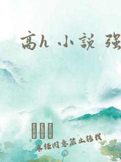 高h 小说 强