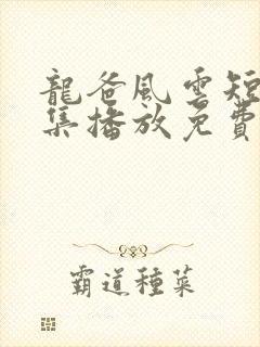龙爸风云短剧全集播放免费观看高清