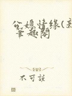 公媳情缘(新) 笔趣阁